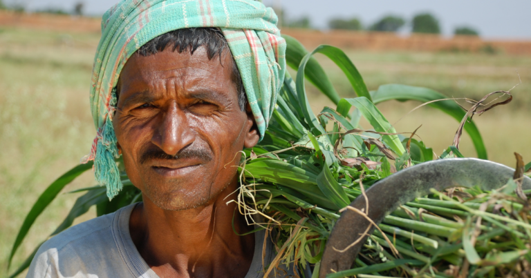 An indian farmer with his produce