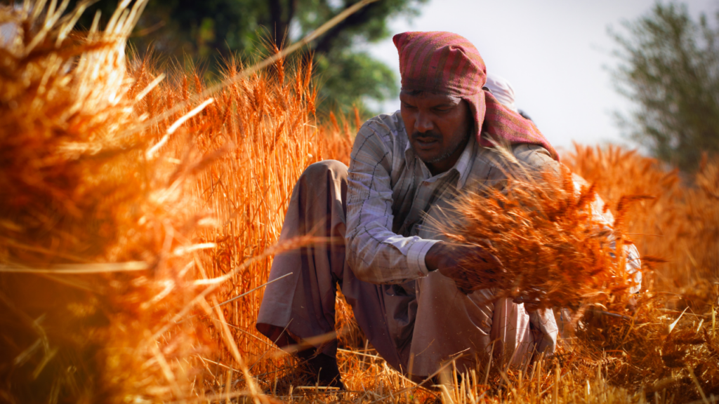 Indian farmer